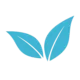 noun_leaves_1381611 copia